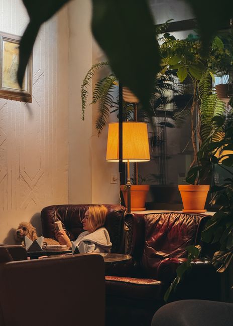 Notre histoire lumineuse 1 Cozy reading nook plants