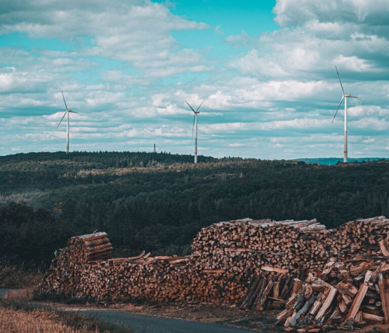 ADEME : rôle, aides et conseils la transition écologique 7 ADEME : rôle, aides et conseils la transition écologique
