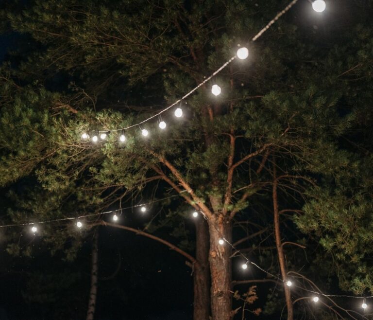 Guirlande lumineuse extérieur : 5 idées reçues qui coûtent cher 1 Guirlande lumineuse extérieur : 5 idées reçues qui coûtent cher